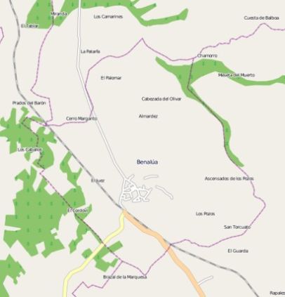 municipality Benalúa spain