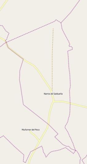 municipio Narros de Saldueña espana