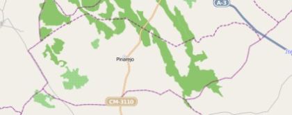 kommun Pinarejo spanien