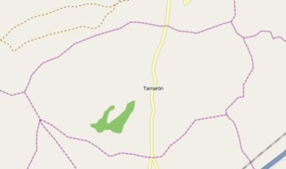 municipality Tamarón spain