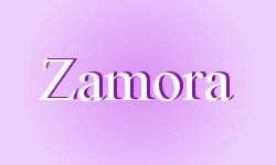 travel guide Zamora